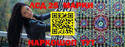 индика Лесосибирск