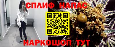 индика Лесосибирск